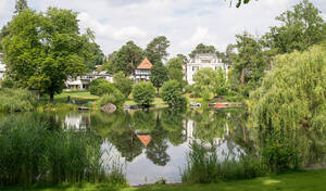 Schöner Anblick, stinkt aber leider noch – die Situation am Waldsee könnte sich bald bessern.