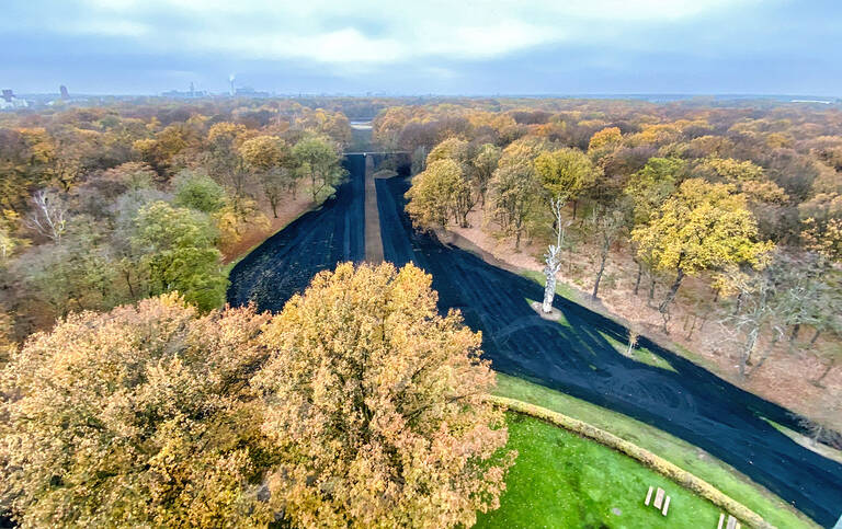 Auf 3000 Quadratmeter Wiese wurde in der Jungfernheide Pflanzenkohle ausgebracht. Foto: BACW