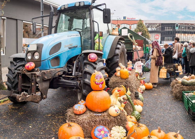 Kürbisse, so viele das Herz begehrt. Am 5. und 6. Oktober wird das Kürbisfest gefeiert.