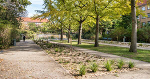 Staudenbeet im westlichen Teil des Platzes.