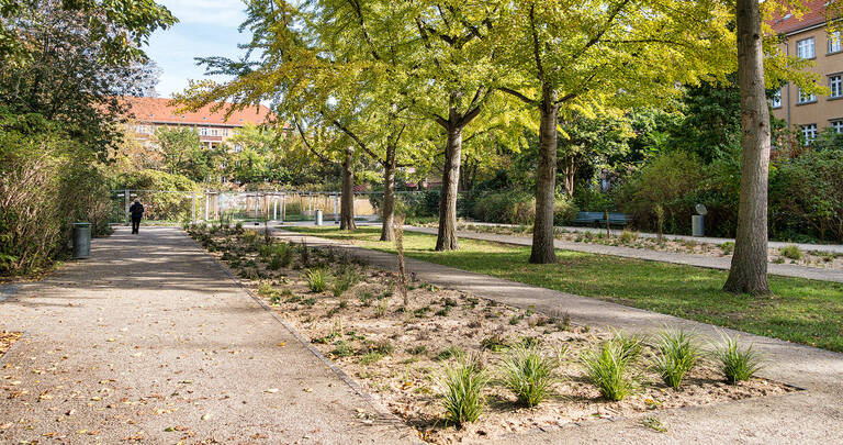 Staudenbeet im westlichen Teil des Platzes.