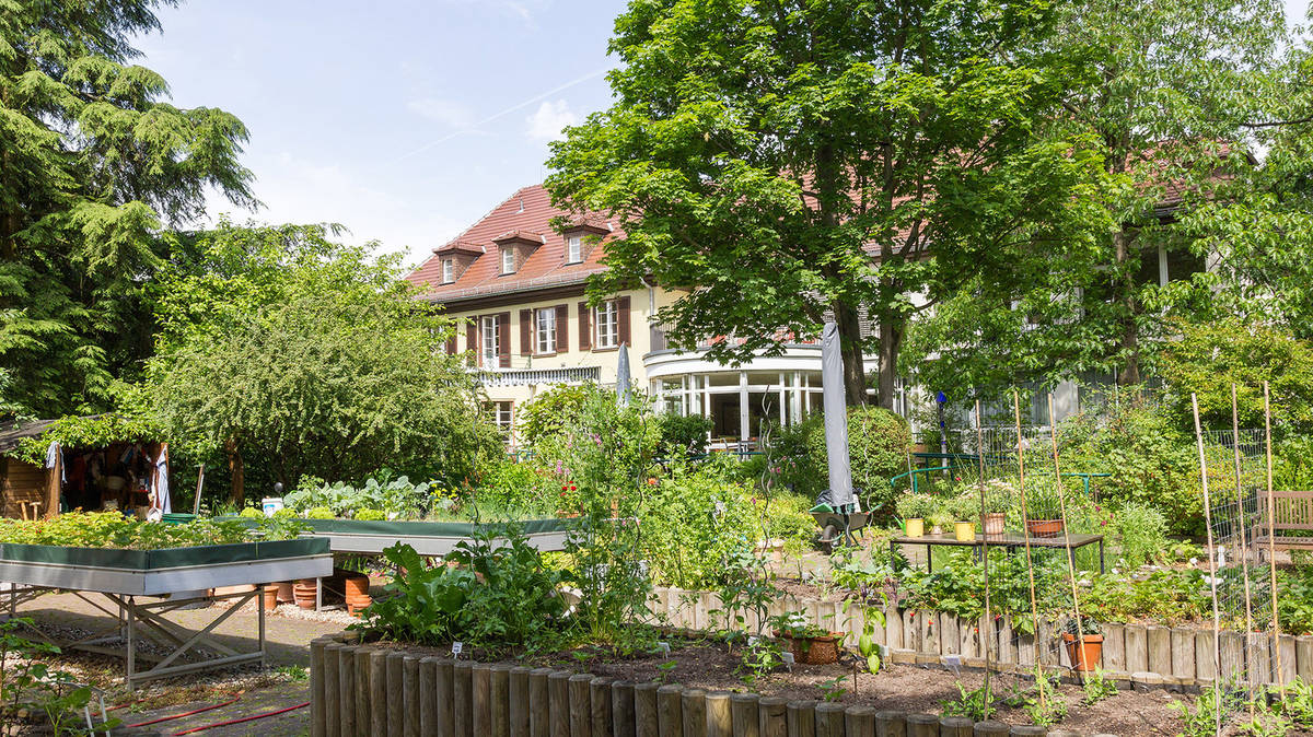 Anregungen für das eigene Grün Offene Gärten in Berlin