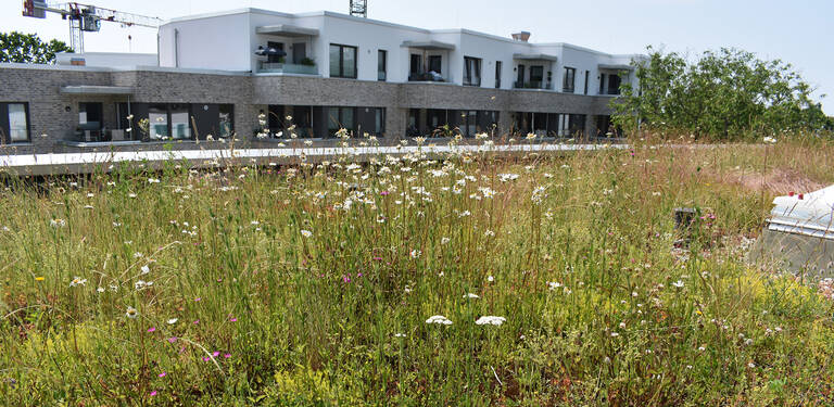 Foto: VZ NRW, Michael Richter, HCU Hamburg