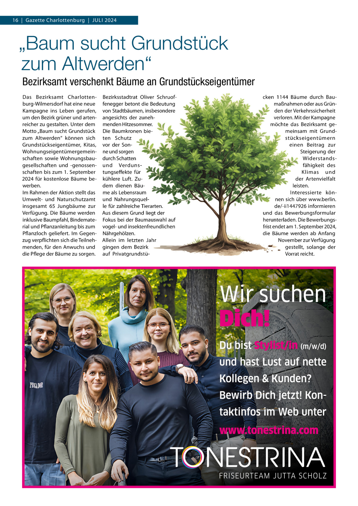 16  |  Gazette Charlottenburg  |  JULI 2024  „Baum sucht Grundstück zum Altwerden“ Bezirksamt verschenkt Bäume an Grundstückseigentümer Das Bezirksamt Charlottenburg-Wilmersdorf hat eine neue Kampagne ins Leben gerufen, um den Bezirk grüner und artenreicher zu gestalten. Unter dem Motto „Baum sucht Grundstück zum Altwerden“ können sich Grundstückseigentümer, Kitas, Wohnungseigentümergemeinschaften sowie Wohnungsbaugesellschaften und -genossenschaften bis zum 1. September 2024 für kostenlose Bäume bewerben. Im Rahmen der Aktion stellt das Umwelt- und Naturschutzamt insgesamt 65  Jungbäume zur Verfügung. Die Bäume werden inklusive Baumpfahl, Bindematerial und Pflanzanleitung bis zum Pflanzloch geliefert. Im Gegenzug verpflichten sich die Teilnehmenden, für den Anwuchs und die Pflege der Bäume zu sorgen.  Bezirksstadtrat Oliver Schruoffenegger betont die Bedeutung von Stadtbäumen, insbesondere angesichts der zunehmenden Hitzesommer. Die Baumkronen bieten Schutz vor der Sonne und sorgen durch Schatten und Verdunstungseffekte für kühlere Luft. Zudem dienen Bäume als Lebensraum und Nahrungsquelle für zahlreiche Tierarten. Aus diesem Grund liegt der Fokus bei der Baumauswahl auf vogel- und insektenfreundlichen Nährgehölzen. Allein im letzten Jahr gingen dem Bezirk auf Privatgrundstü cken 1144 Bäume durch Baumaßnahmen oder aus Gründen der Verkehrssicherheit verloren. Mit der Kampagne möchte das Bezirksamt gemeinsam mit Grundstückseigentümern einen Beitrag zur Steigerung der Widerstandsfähigkeit des Klimas und der Artenvielfalt leisten. Interessierte können sich über www.berlin. de/-ii1447926 informieren und das Bewerbungsformular herunterladen. Die Bewerbungsfrist endet am 1. September 2024, die Bäume werden ab Anfang November zur Verfügung gestellt, solange der Vorrat reicht.