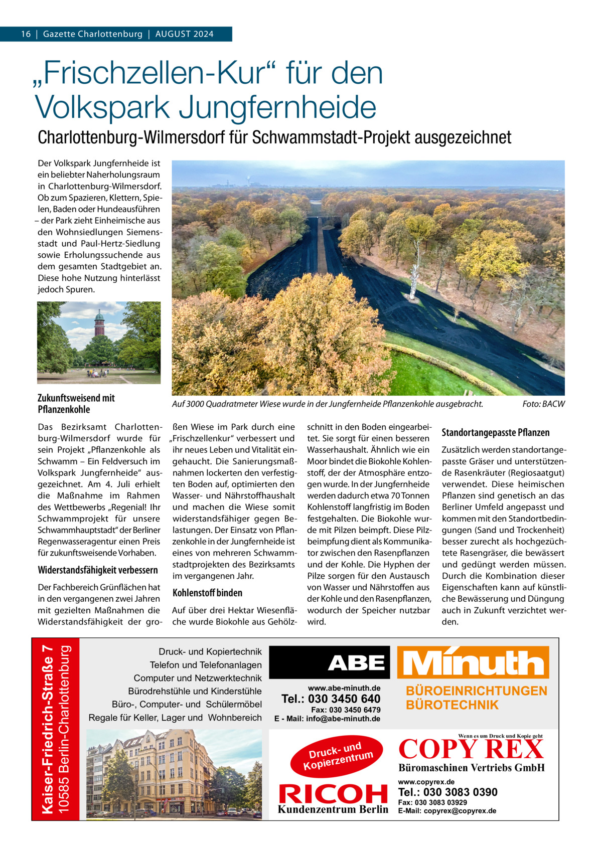 16  |  Gazette Charlottenburg  |  August 2024  „Frischzellen-Kur“ für den Volkspark Jungfernheide Charlottenburg-Wilmersdorf für Schwammstadt-Projekt ausgezeichnet Der Volkspark Jungfernheide ist ein beliebter Naherholungsraum in Charlottenburg-Wilmersdorf. Ob zum Spazieren, Klettern, Spielen, Baden oder Hundeausführen – der Park zieht Einheimische aus den Wohnsiedlungen Siemensstadt und Paul-Hertz-Siedlung sowie Erholungssuchende aus dem gesamten Stadtgebiet an. Diese hohe Nutzung hinterlässt jedoch Spuren.  Zukunftsweisend mit Pflanzenkohle  Auf 3000 Quadratmeter Wiese wurde in der Jungfernheide Pflanzenkohle ausgebracht.�  10585 Berlin-Charlottenburg  Kaiser-Friedrich-Straße 7  Das Bezirksamt Charlotten- ßen Wiese im Park durch eine burg-Wilmersdorf wurde für „Frischzellenkur“ verbessert und sein Projekt „Pflanzenkohle als ihr neues Leben und Vitalität einSchwamm – Ein Feldversuch im gehaucht. Die SanierungsmaßVolkspark Jungfernheide“ aus- nahmen lockerten den verfestiggezeichnet. Am 4.  Juli erhielt ten Boden auf, optimierten den die Maßnahme im Rahmen Wasser- und Nährstoffhaushalt des Wettbewerbs „Regenial! Ihr und machen die Wiese somit Schwammprojekt für unsere widerstandsfähiger gegen BeSchwammhauptstadt“ der Berliner lastungen. Der Einsatz von PflanRegenwasseragentur einen Preis zenkohle in der Jungfernheide ist für zukunftsweisende Vorhaben. eines von mehreren Schwammstadtprojekten des Bezirksamts Widerstandsfähigkeit verbessern im vergangenen Jahr. Der Fachbereich Grünflächen hat Kohlenstoff binden in den vergangenen zwei Jahren mit gezielten Maßnahmen die Auf über drei Hektar WiesenfläWiderstandsfähigkeit der gro- che wurde Biokohle aus Gehölz Druck- und Kopiertechnik Telefon und Telefonanlagen Computer und Netzwerktechnik Bürodrehstühle und Kinderstühle Büro-, Computer- und Schülermöbel Regale für Keller, Lager und Wohnbereich  schnitt in den Boden eingearbeitet. Sie sorgt für einen besseren Wasserhaushalt. Ähnlich wie ein Moor bindet die Biokohle Kohlenstoff, der der Atmosphäre entzogen wurde. In der Jungfernheide werden dadurch etwa 70 Tonnen Kohlenstoff langfristig im Boden festgehalten. Die Biokohle wurde mit Pilzen beimpft. Diese Pilzbeimpfung dient als Kommunikator zwischen den Rasenpflanzen und der Kohle. Die Hyphen der Pilze sorgen für den Austausch von Wasser und Nährstoffen aus der Kohle und den Rasenpflanzen, wodurch der Speicher nutzbar wird.  Foto: BACW  Standortangepasste Pflanzen Zusätzlich werden standortangepasste Gräser und unterstützende Rasenkräuter (Regiosaatgut) verwendet. Diese heimischen Pflanzen sind genetisch an das Berliner Umfeld angepasst und kommen mit den Standortbedingungen (Sand und Trockenheit) besser zurecht als hochgezüchtete Rasengräser, die bewässert und gedüngt werden müssen. Durch die Kombination dieser Eigenschaften kann auf künstliche Bewässerung und Düngung auch in Zukunft verzichtet werden.  www.abe-minuth.de  Tel.: 030 3450 640  Fax: 030 3450 6479 E - Mail: info@abe-minuth.de  COPY REX Wenn es um Druck und Kopie geht  - und Druck entrum rz Kopie  Büromaschinen Vertriebs GmbH  www.copyrex.de  Tel.: 030 3083 0390  Kundenzentrum Berlin  Fax: 030 3083 03929 E-Mail: copyrex@copyrex.de