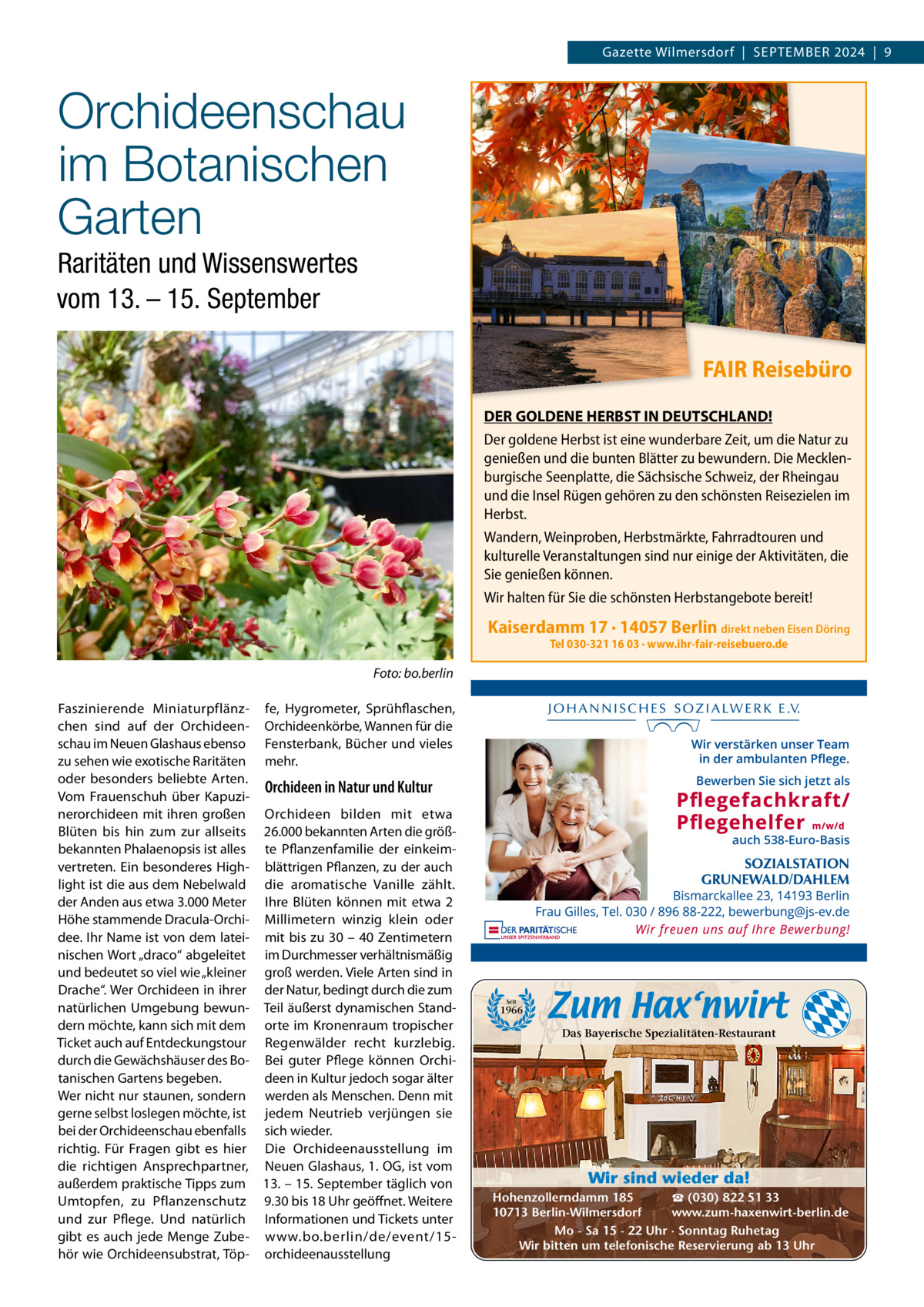 Gazette Wilmersdorf  |  September 2024  |  9  Orchideenschau im Botanischen Garten Raritäten und Wissenswertes vom 13. – 15. September FAIR Reisebüro DER GOLDENE HERBST IN DEUTSCHLAND! Der goldene Herbst ist eine wunderbare Zeit, um die Natur zu genießen und die bunten Blätter zu bewundern. Die Mecklenburgische Seenplatte, die Sächsische Schweiz, der Rheingau und die Insel Rügen gehören zu den schönsten Reisezielen im Herbst. Wandern, Weinproben, Herbstmärkte, Fahrradtouren und kulturelle Veranstaltungen sind nur einige der Aktivitäten, die Sie genießen können. Wir halten für Sie die schönsten Herbstangebote bereit!  Kaiserdamm 17 · 14057 Berlin direkt neben Eisen Döring Tel 030-321 16 03 · www.ihr-fair-reisebuero.de  Foto: bo.berlin Faszinierende miniaturpflänz- fe, Hygrometer, Sprühflaschen, chen sind auf der Orchideen- Orchideenkörbe, Wannen für die schau im Neuen Glashaus ebenso Fensterbank, bücher und vieles zu sehen wie exotische raritäten mehr. oder besonders beliebte Arten. Orchideen in Natur und Kultur Vom Frauenschuh über Kapuzinerorchideen mit ihren großen Orchideen bilden mit etwa blüten bis hin zum zur allseits 26.000 bekannten Arten die größbekannten phalaenopsis ist alles te pflanzenfamilie der einkeimvertreten. ein besonderes High- blättrigen pflanzen, zu der auch light ist die aus dem Nebelwald die aromatische Vanille zählt. der Anden aus etwa 3.000 meter Ihre blüten können mit etwa 2 Höhe stammende Dracula-Orchi- millimetern winzig klein oder dee. Ihr Name ist von dem latei- mit bis zu 30 – 40 Zentimetern nischen Wort „draco“ abgeleitet im Durchmesser verhältnismäßig und bedeutet so viel wie „kleiner groß werden. Viele Arten sind in Drache“. Wer Orchideen in ihrer der Natur, bedingt durch die zum natürlichen Umgebung bewun- teil äußerst dynamischen Standdern möchte, kann sich mit dem orte im Kronenraum tropischer ticket auch auf entdeckungstour regenwälder recht kurzlebig. durch die Gewächshäuser des bo- bei guter pflege können Orchitanischen Gartens begeben. deen in Kultur jedoch sogar älter Wer nicht nur staunen, sondern werden als menschen. Denn mit gerne selbst loslegen möchte, ist jedem Neutrieb verjüngen sie bei der Orchideenschau ebenfalls sich wieder. richtig. Für Fragen gibt es hier Die Orchideenausstellung im die richtigen Ansprechpartner, Neuen Glashaus, 1. OG, ist vom außerdem praktische tipps zum 13. – 15. September täglich von Umtopfen, zu pflanzenschutz 9.30 bis 18 Uhr geöffnet. Weitere und zur pflege. Und natürlich Informationen und tickets unter gibt es auch jede menge Zube- www.bo.berlin/de/event/15hör wie Orchideensubstrat, töp- orchideenausstellung  Bewerben Sie sich jetzt als  auch 538-Euro-Basis  Seit  1966  Das Bayerische Spezialitäten-Restaurant  Wir sind wieder da! ☎ (030) 822 51 33 Hohenzollerndamm 185 www.zum-haxenwirt-berlin.de 10713 Berlin-Wilmersdorf Mo - Sa 15 - 22 Uhr · Sonntag Ruhetag Wir bitten um telefonische Reservierung ab 13 Uhr