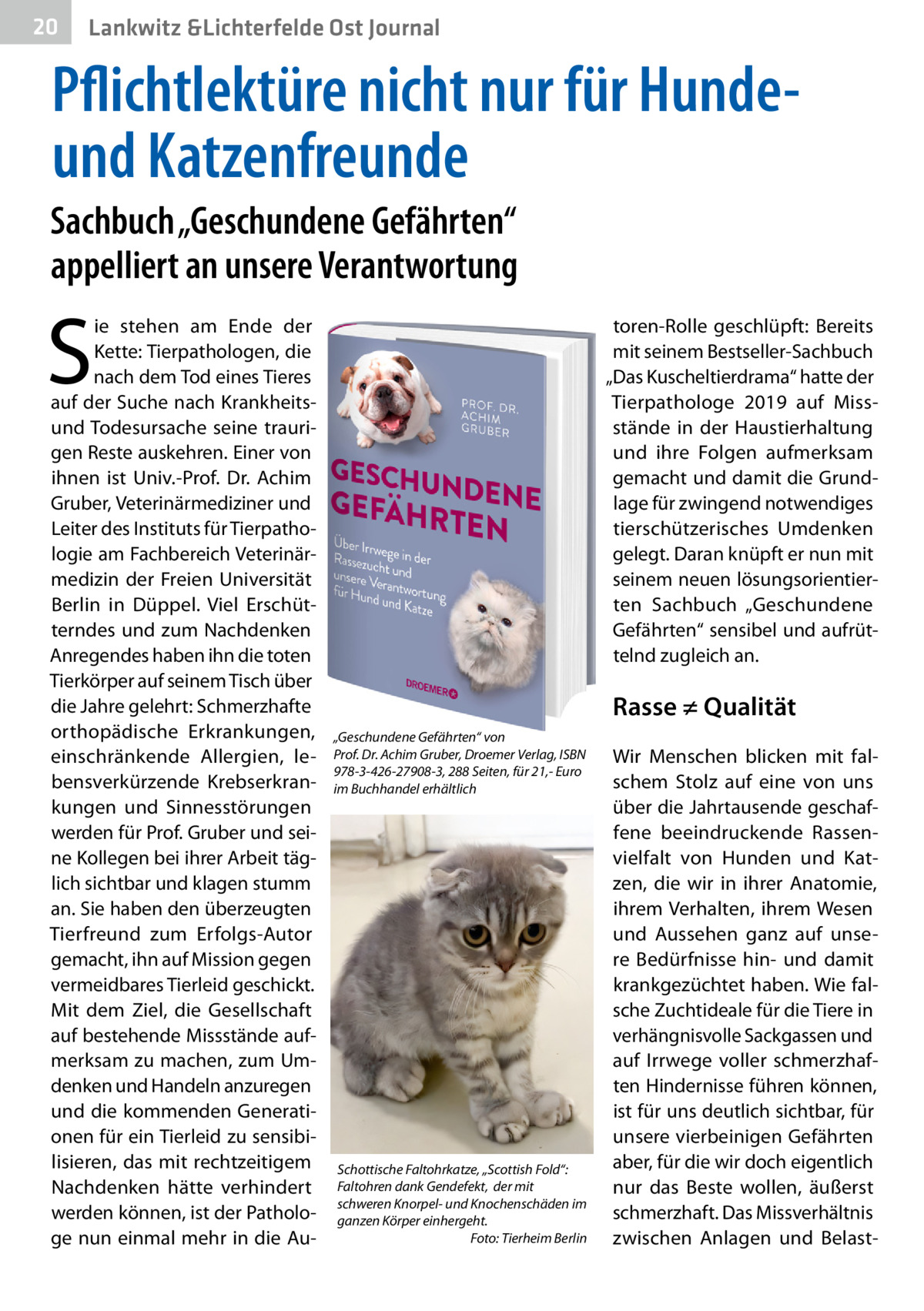 20  Gesundheit Lankwitz &Lichterfelde Ost Journal  Pflichtlektüre nicht nur für Hundeund Katzenfreunde Sachbuch „Geschundene Gefährten“ appelliert an unsere Verantwortung  S  ie stehen am Ende der Kette: Tierpathologen, die nach dem Tod eines Tieres auf der Suche nach Krankheitsund Todesursache seine traurigen Reste auskehren. Einer von ihnen ist Univ.-Prof.  Dr.  Achim Gruber, Veterinärmediziner und Leiter des Instituts für Tierpathologie am Fachbereich Veterinärmedizin der Freien Universität Berlin in Düppel. Viel Erschütterndes und zum Nachdenken Anregendes haben ihn die toten Tierkörper auf seinem Tisch über die Jahre gelehrt: Schmerzhafte orthopädische Erkrankungen, einschränkende Allergien, lebensverkürzende Krebserkrankungen und Sinnesstörungen werden für Prof. Gruber und seine Kollegen bei ihrer Arbeit täglich sichtbar und klagen stumm an. Sie haben den überzeugten Tierfreund zum Erfolgs-Autor gemacht, ihn auf Mission gegen vermeidbares Tierleid geschickt. Mit dem Ziel, die Gesellschaft auf bestehende Missstände aufmerksam zu machen, zum Umdenken und Handeln anzuregen und die kommenden Generationen für ein Tierleid zu sensibilisieren, das mit rechtzeitigem Nachdenken hätte verhindert werden können, ist der Pathologe nun einmal mehr in die Au toren-Rolle geschlüpft: Bereits mit seinem Bestseller-Sachbuch „Das Kuscheltierdrama“ hatte der Tierpathologe 2019 auf Missstände in der Haustierhaltung und ihre Folgen aufmerksam gemacht und damit die Grundlage für zwingend notwendiges tierschützerisches Umdenken gelegt. Daran knüpft er nun mit seinem neuen lösungsorientierten Sachbuch „Geschundene Gefährten“ sensibel und aufrüttelnd zugleich an.  Rasse ≠ Qualität „Geschundene Gefährten“ von Prof. Dr. Achim Gruber, Droemer Verlag, ISBN 978-3-426-27908-3, 288 Seiten, für 21,- Euro im Buchhandel erhältlich  Schottische Faltohrkatze, „Scottish Fold“: Faltohren dank Gendefekt, der mit schweren Knorpel- und Knochenschäden im ganzen Körper einhergeht. � Foto: Tierheim Berlin  Wir Menschen blicken mit falschem Stolz auf eine von uns über die Jahrtausende geschaffene beeindruckende Rassenvielfalt von Hunden und Katzen, die wir in ihrer Anatomie, ihrem Verhalten, ihrem Wesen und Aussehen ganz auf unsere Bedürfnisse hin- und damit krankgezüchtet haben. Wie falsche Zuchtideale für die Tiere in verhängnisvolle Sackgassen und auf Irrwege voller schmerzhaften Hindernisse führen können, ist für uns deutlich sichtbar, für unsere vierbeinigen Gefährten aber, für die wir doch eigentlich nur das Beste wollen, äußerst schmerzhaft. Das Missverhältnis zwischen Anlagen und Belas