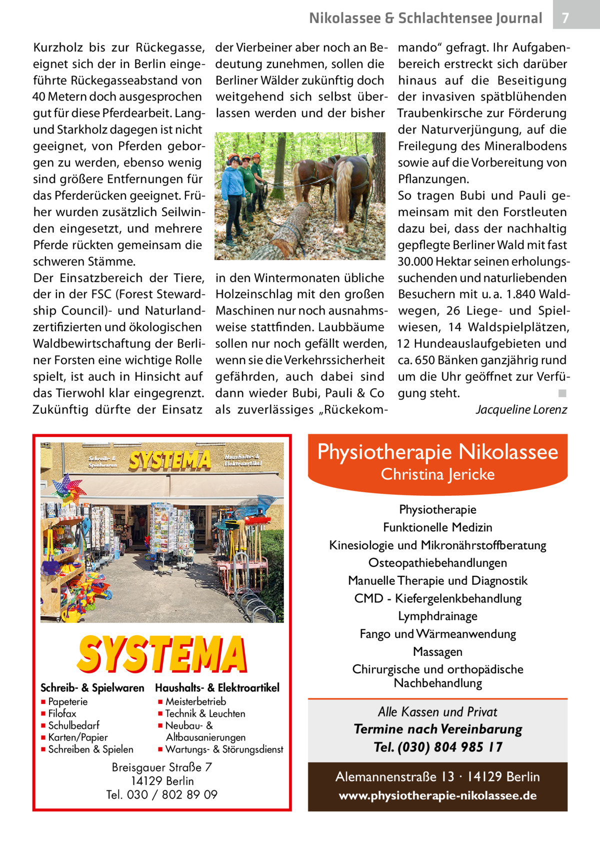 Nikolassee & Schlachtensee Journal Kurzholz bis zur Rückegasse, eignet sich der in Berlin eingeführte Rückegasseabstand von 40 Metern doch ausgesprochen gut für diese Pferdearbeit. Langund Starkholz dagegen ist nicht geeignet, von Pferden geborgen zu werden, ebenso wenig sind größere Entfernungen für das Pferderücken geeignet. Früher wurden zusätzlich Seilwinden eingesetzt, und mehrere Pferde rückten gemeinsam die schweren Stämme. Der Einsatzbereich der Tiere, der in der FSC (Forest Stewardship Council)- und Naturlandzertifizierten und ökologischen Waldbewirtschaftung der Berliner Forsten eine wichtige Rolle spielt, ist auch in Hinsicht auf das Tierwohl klar eingegrenzt. Zukünftig dürfte der Einsatz  der Vierbeiner aber noch an Bedeutung zunehmen, sollen die Berliner Wälder zukünftig doch weitgehend sich selbst überlassen werden und der bisher  in den Wintermonaten übliche Holzeinschlag mit den großen Maschinen nur noch ausnahmsweise stattfinden. Laubbäume sollen nur noch gefällt werden, wenn sie die Verkehrssicherheit gefährden, auch dabei sind dann wieder Bubi, Pauli & Co als zuverlässiges „Rückekom mando“ gefragt. Ihr Aufgabenbereich erstreckt sich darüber hinaus auf die Beseitigung der invasiven spätblühenden Traubenkirsche zur Förderung der Naturverjüngung, auf die Freilegung des Mineralbodens sowie auf die Vorbereitung von Pflanzungen. So tragen Bubi und Pauli gemeinsam mit den Forstleuten dazu bei, dass der nachhaltig gepflegte Berliner Wald mit fast 30.000 Hektar seinen erholungssuchenden und naturliebenden Besuchern mit u. a. 1.840 Waldwegen, 26  Liege- und Spielwiesen, 14  Waldspielplätzen, 12 Hundeauslaufgebieten und ca. 650 Bänken ganzjährig rund um die Uhr geöffnet zur Verfügung steht.� ◾ � Jacqueline Lorenz  Physiotherapie Nikolassee Christina Jericke  SYSTEMA  Schreib- & Spielwaren ▪ Papeterie ▪ Filofax ▪ Schulbedarf ▪ Karten/Papier ▪ Schreiben & Spielen  Haushalts- & Elektroartikel  ▪ Meisterbetrieb ▪ Technik & Leuchten ▪ Neubau- & Altbausanierungen ▪ Wartungs- & Störungsdienst  Breisgauer Straße 7 14129 Berlin Tel. 030 / 802 89 09  7  Physiotherapie Funktionelle Medizin Kinesiologie und Mikronährstoffberatung Osteopathiebehandlungen Manuelle Therapie und Diagnostik CMD - Kiefergelenkbehandlung Lymphdrainage Fango und Wärmeanwendung Massagen Chirurgische und orthopädische Nachbehandlung  Alle Kassen und Privat Termine nach Vereinbarung Tel. (030) 804 985 17 Alemannenstraße 13 · 14129 Berlin www.physiotherapie-nikolassee.de