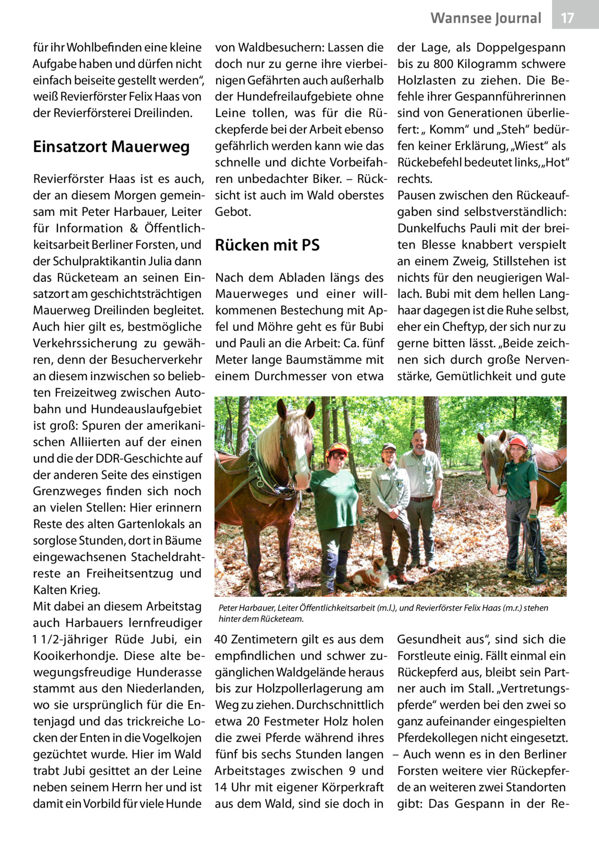 Wannsee Journal für ihr Wohlbefinden eine kleine Aufgabe haben und dürfen nicht einfach beiseite gestellt werden“, weiß Revierförster Felix Haas von der Revierförsterei Dreilinden.  17  von Waldbesuchern: Lassen die der Lage, als Doppelgespann doch nur zu gerne ihre vierbei- bis zu 800 Kilogramm schwere nigen Gefährten auch außerhalb Holzlasten zu ziehen. Die Beder Hundefreilaufgebiete ohne fehle ihrer Gespannführerinnen Leine tollen, was für die Rü- sind von Generationen überlieckepferde bei der Arbeit ebenso fert: „ Komm“ und „Steh“ bedürEinsatzort Mauerweg gefährlich werden kann wie das fen keiner Erklärung, „Wiest“ als schnelle und dichte Vorbeifah- Rückebefehl bedeutet links, „Hot“ Revierförster Haas ist es auch, ren unbedachter Biker. – Rück- rechts. der an diesem Morgen gemein- sicht ist auch im Wald oberstes Pausen zwischen den Rückeaufsam mit Peter Harbauer, Leiter Gebot. gaben sind selbstverständlich: für Information & ÖffentlichDunkelfuchs Pauli mit der breikeitsarbeit Berliner Forsten, und Rücken mit PS ten Blesse knabbert verspielt der Schulpraktikantin Julia dann an einem Zweig, Stillstehen ist das Rücketeam an seinen Ein- Nach dem Abladen längs des nichts für den neugierigen Walsatzort am geschichtsträchtigen Mauerweges und einer will- lach. Bubi mit dem hellen LangMauerweg Dreilinden begleitet. kommenen Bestechung mit Ap- haar dagegen ist die Ruhe selbst, Auch hier gilt es, bestmögliche fel und Möhre geht es für Bubi eher ein Cheftyp, der sich nur zu Verkehrssicherung zu gewäh- und Pauli an die Arbeit: Ca. fünf gerne bitten lässt. „Beide zeichren, denn der Besucherverkehr Meter lange Baumstämme mit nen sich durch große Nervenan diesem inzwischen so belieb- einem Durchmesser von etwa stärke, Gemütlichkeit und gute ten Freizeitweg zwischen Autobahn und Hundeauslaufgebiet ist groß: Spuren der amerikanischen Alliierten auf der einen und die der DDR-Geschichte auf der anderen Seite des einstigen Grenzweges finden sich noch an vielen Stellen: Hier erinnern Reste des alten Gartenlokals an sorglose Stunden, dort in Bäume eingewachsenen Stacheldrahtreste an Freiheitsentzug und Kalten Krieg. Mit dabei an diesem Arbeitstag Peter Harbauer, Leiter Öffentlichkeitsarbeit (m.l.), und Revierförster Felix Haas (m.r.) stehen auch Harbauers lernfreudiger hinter dem Rücketeam. 1 1/2-jähriger Rüde Jubi, ein 40 Zentimetern gilt es aus dem Gesundheit aus“, sind sich die Kooikerhondje. Diese alte be- empfindlichen und schwer zu- Forstleute einig. Fällt einmal ein wegungsfreudige Hunderasse gänglichen Waldgelände heraus Rückepferd aus, bleibt sein Partstammt aus den Niederlanden, bis zur Holzpollerlagerung am ner auch im Stall. „Vertretungswo sie ursprünglich für die En- Weg zu ziehen. Durchschnittlich pferde“ werden bei den zwei so tenjagd und das trickreiche Lo- etwa 20 Festmeter Holz holen ganz aufeinander eingespielten cken der Enten in die Vogelkojen die zwei Pferde während ihres Pferdekollegen nicht eingesetzt. gezüchtet wurde. Hier im Wald fünf bis sechs Stunden langen – Auch wenn es in den Berliner trabt Jubi gesittet an der Leine Arbeitstages zwischen 9 und Forsten weitere vier Rückepferneben seinem Herrn her und ist 14 Uhr mit eigener Körperkraft de an weiteren zwei Standorten damit ein Vorbild für viele Hunde aus dem Wald, sind sie doch in gibt: Das Gespann in der R