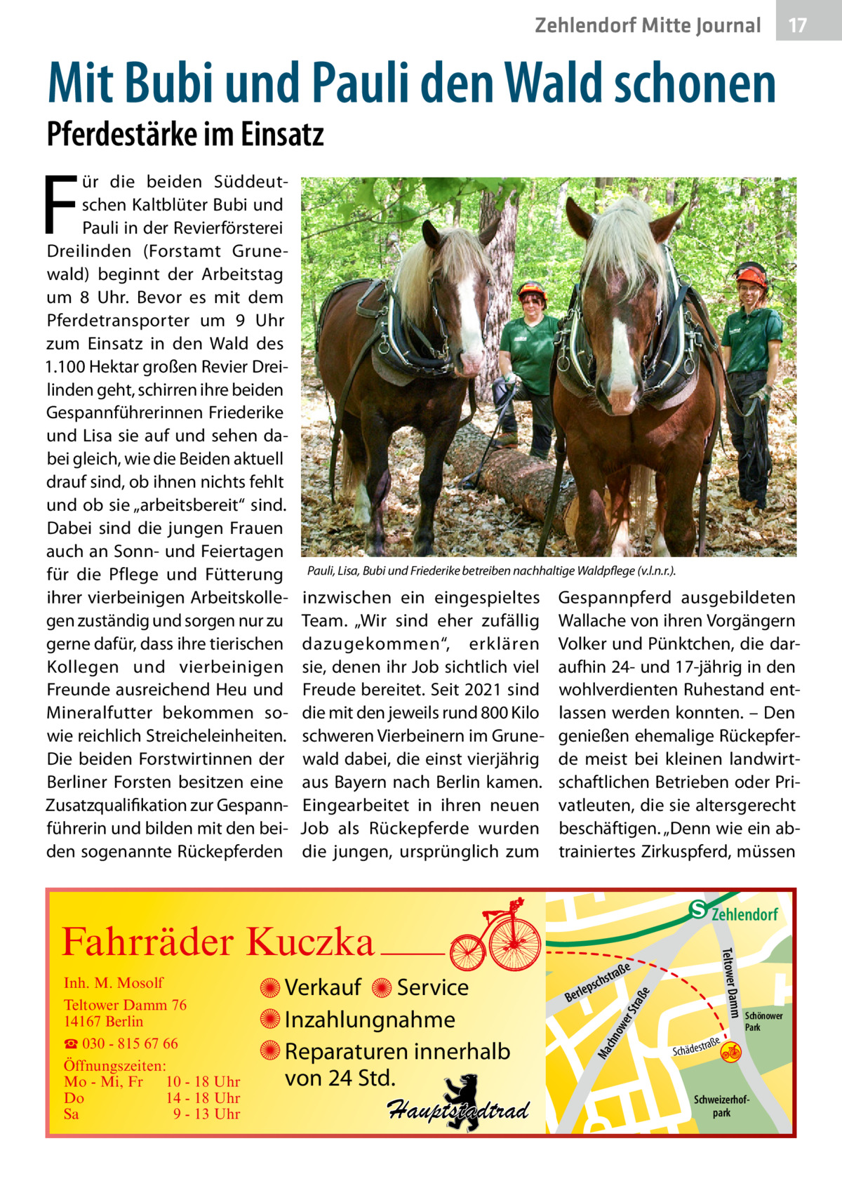 Zehlendorf Mitte Journal  17  Mit Bubi und Pauli den Wald schonen  Pferdestärke im Einsatz  F  ür die beiden Süddeutschen Kaltblüter Bubi und Pauli in der Revierförsterei Dreilinden (Forstamt Grunewald) beginnt der Arbeitstag um 8  Uhr. Bevor es mit dem Pferdetransporter um 9  Uhr zum Einsatz in den Wald des 1.100 Hektar großen Revier Dreilinden geht, schirren ihre beiden Gespannführerinnen Friederike und Lisa sie auf und sehen dabei gleich, wie die Beiden aktuell drauf sind, ob ihnen nichts fehlt und ob sie „arbeitsbereit“ sind. Dabei sind die jungen Frauen auch an Sonn- und Feiertagen für die Pflege und Fütterung ihrer vierbeinigen Arbeitskollegen zuständig und sorgen nur zu gerne dafür, dass ihre tierischen Kollegen und vierbeinigen Freunde ausreichend Heu und Mineralfutter bekommen sowie reichlich Streicheleinheiten. Die beiden Forstwirtinnen der Berliner Forsten besitzen eine Zusatzqualifikation zur Gespannführerin und bilden mit den beiden sogenannte Rückepferden  Pauli, Lisa, Bubi und Friederike betreiben nachhaltige Waldpflege (v.l.n.r.).  inzwischen ein eingespieltes Team. „Wir sind eher zufällig dazugekommen“, erklären sie, denen ihr Job sichtlich viel Freude bereitet. Seit 2021 sind die mit den jeweils rund 800 Kilo schweren Vierbeinern im Grunewald dabei, die einst vierjährig aus Bayern nach Berlin kamen. Eingearbeitet in ihren neuen Job als Rückepferde wurden die jungen, ursprünglich zum  Gespannpferd ausgebildeten Wallache von ihren Vorgängern Volker und Pünktchen, die daraufhin 24- und 17-jährig in den wohlverdienten Ruhestand entlassen werden konnten. – Den genießen ehemalige Rückepferde meist bei kleinen landwirtschaftlichen Betrieben oder Privatleuten, die sie altersgerecht beschäftigen. „Denn wie ein abtrainiertes Zirkuspferd, müssen  e  ow er S traß chn  Ma  Schönower Park  Schweizerhofpark  Str.  jery str.  str.  andd  ra ße  h rauc  Hauptstadtrad  S c hä d e s t  Mühlenstr -H Prinz  e raß  chst  leps  Ber  mm  Verkauf Service Inzahlungnahme Reparaturen innerhalb von 24 Std.  udstr.  Gertra  Inh. M. Mosolf Teltower Damm 76 14167 Berlin ☎ 030 - 815 67 66 Öffnungszeiten: Mo - Mi, Fr 10 - 18 Uhr Do 14 - 18 Uhr Sa 9 - 13 Uhr  Teltower Da  Fahrräder Kuczka  n e Stub  Zehlendorf