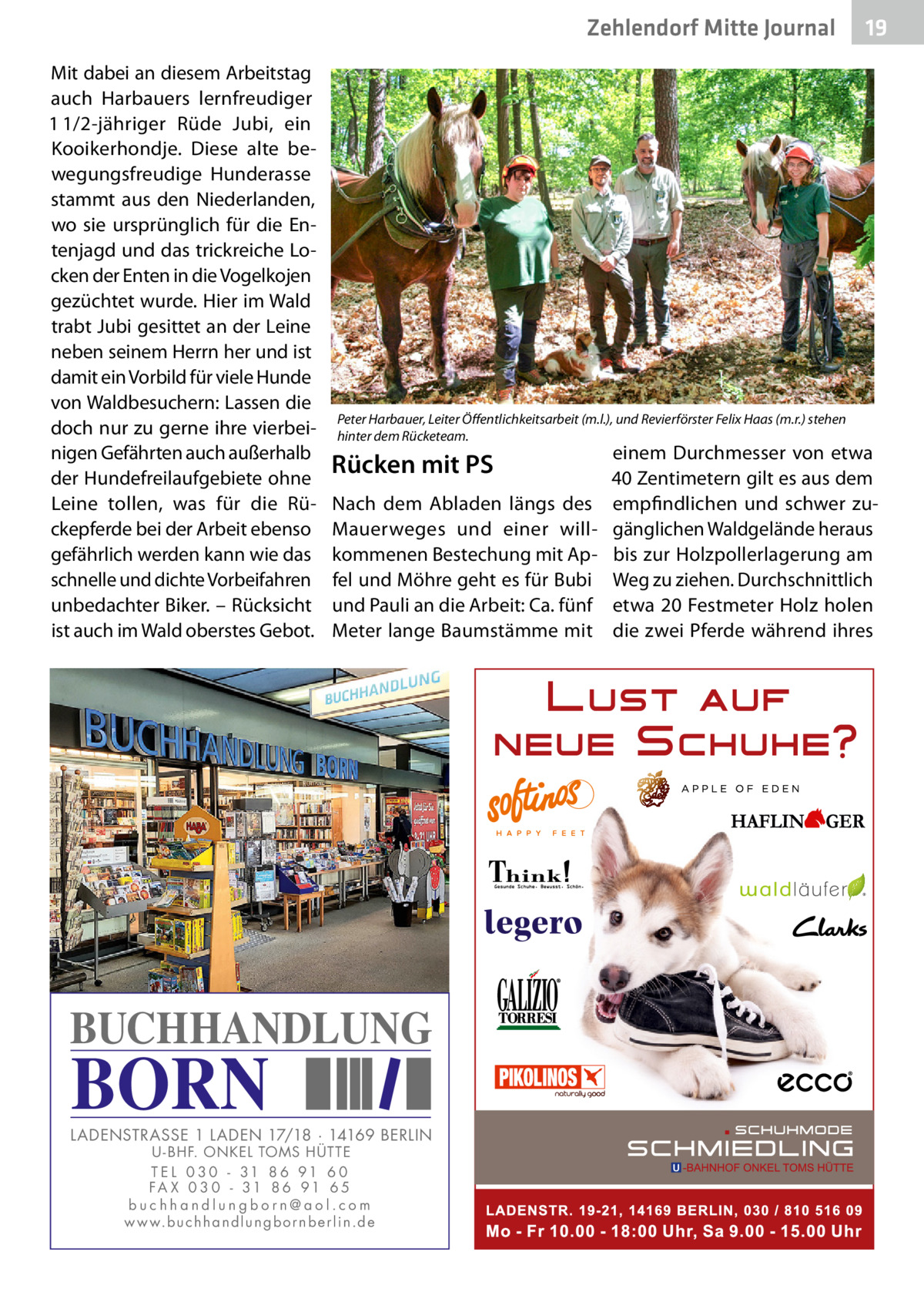 Zehlendorf Mitte Journal Mit dabei an diesem Arbeitstag auch Harbauers lernfreudiger 1 1/2-jähriger Rüde Jubi, ein Kooikerhondje. Diese alte bewegungsfreudige Hunderasse stammt aus den Niederlanden, wo sie ursprünglich für die Entenjagd und das trickreiche Locken der Enten in die Vogelkojen gezüchtet wurde. Hier im Wald trabt Jubi gesittet an der Leine neben seinem Herrn her und ist damit ein Vorbild für viele Hunde von Waldbesuchern: Lassen die doch nur zu gerne ihre vierbeinigen Gefährten auch außerhalb der Hundefreilaufgebiete ohne Leine tollen, was für die Rückepferde bei der Arbeit ebenso gefährlich werden kann wie das schnelle und dichte Vorbeifahren unbedachter Biker. – Rücksicht ist auch im Wald oberstes Gebot.  Peter Harbauer, Leiter Öffentlichkeitsarbeit (m.l.), und Revierförster Felix Haas (m.r.) stehen hinter dem Rücketeam.  Rücken mit PS Nach dem Abladen längs des Mauerweges und einer willkommenen Bestechung mit Apfel und Möhre geht es für Bubi und Pauli an die Arbeit: Ca. fünf Meter lange Baumstämme mit  BUCHHANDLUNG  BORN  LADENSTRASSE 1 LADEN 17/18 · 14169 BERLIN U - BHF. ONKEL TOMS HÜTTE T E L 0 3 0 - 31 8 6 91 6 0 FA X 0 3 0 - 31 8 6 91 6 5 buchhandlungborn@aol.com w w w.b u c h h a n d l u n g b o r n b e r l i n.d e  19  einem Durchmesser von etwa 40 Zentimetern gilt es aus dem empfindlichen und schwer zugänglichen Waldgelände heraus bis zur Holzpollerlagerung am Weg zu ziehen. Durchschnittlich etwa 20 Festmeter Holz holen die zwei Pferde während ihres